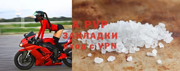 стаф Вяземский