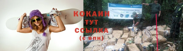 стаф Вяземский