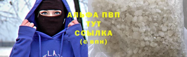 стаф Вяземский