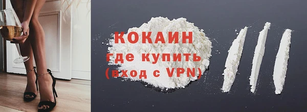 стаф Вяземский