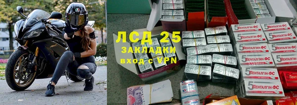ГАЛЛЮЦИНОГЕННЫЕ ГРИБЫ Горняк