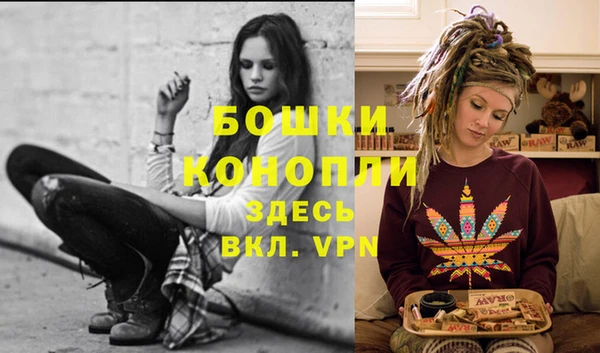 ГАЛЛЮЦИНОГЕННЫЕ ГРИБЫ Горняк