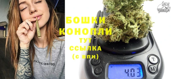 стаф Вяземский