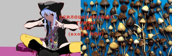 винт Вязники